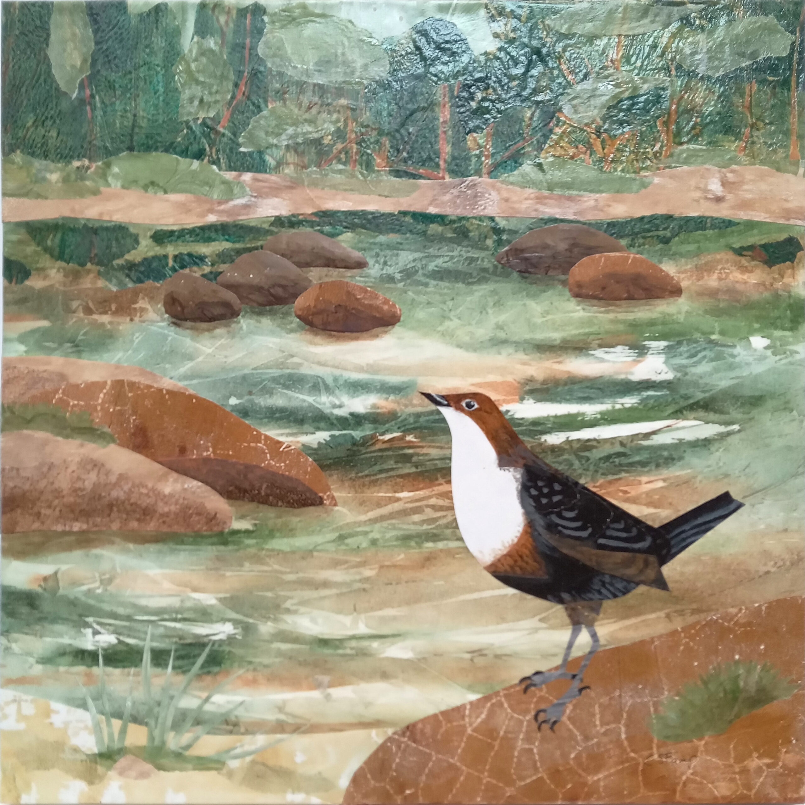 CStamp_Cold_Morning_Dipper-2fc225aa3c65dd57860f2d770262ac48 Melanie Winning Art