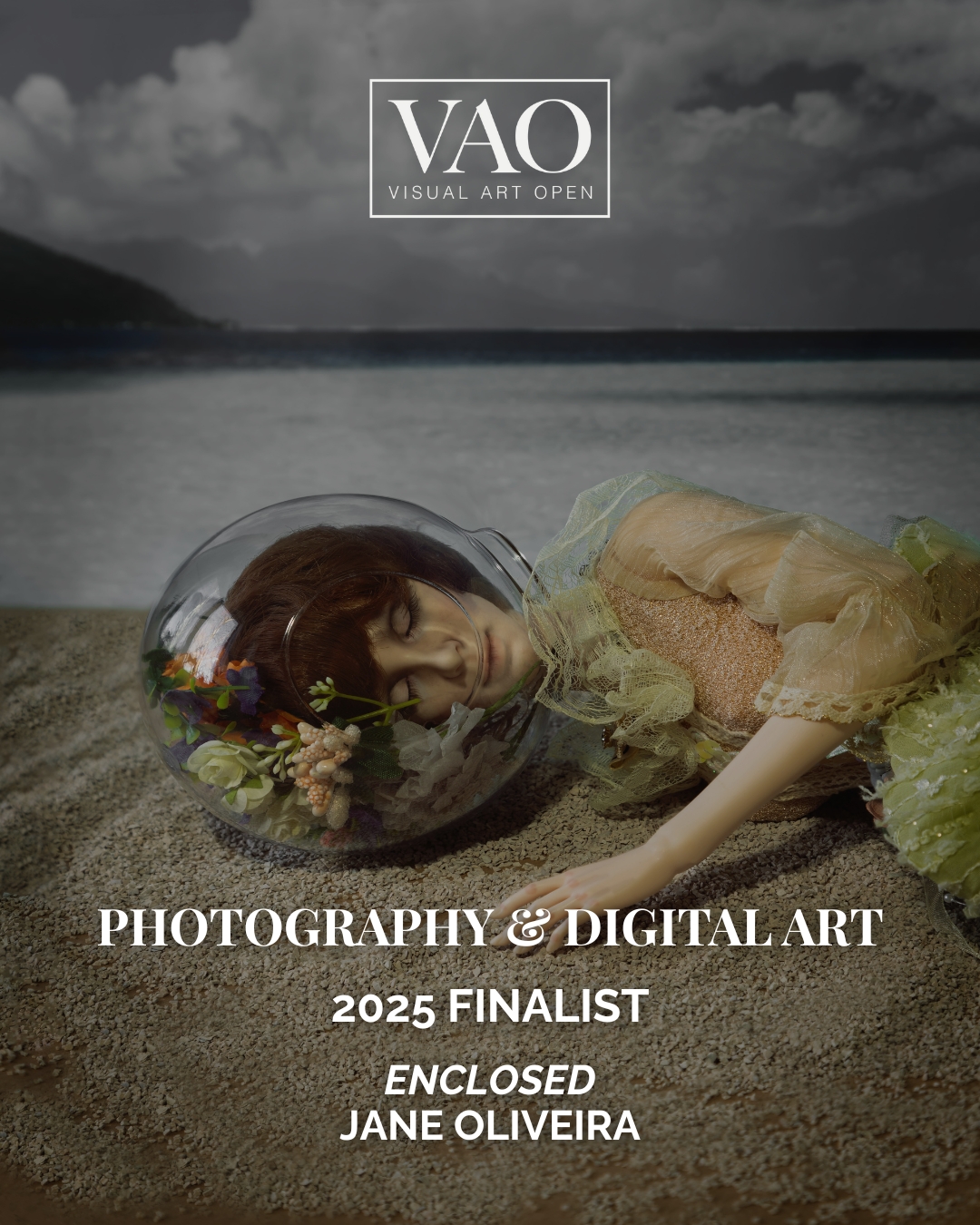 Finalists VAO 2025 (1)