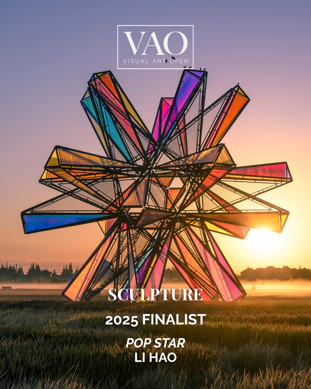 Finalists VAO 2025 (2)