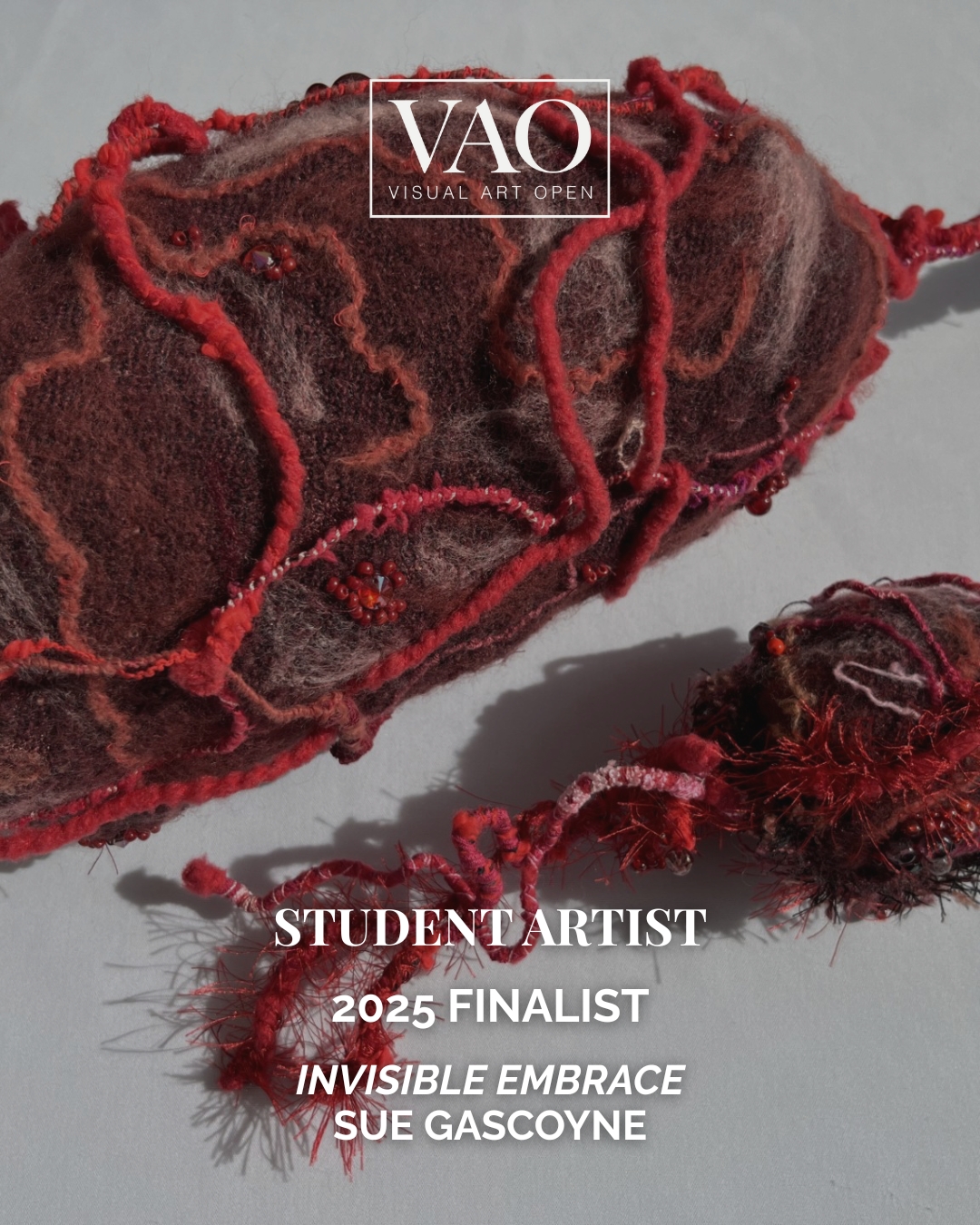 Finalists VAO 2025 (3)