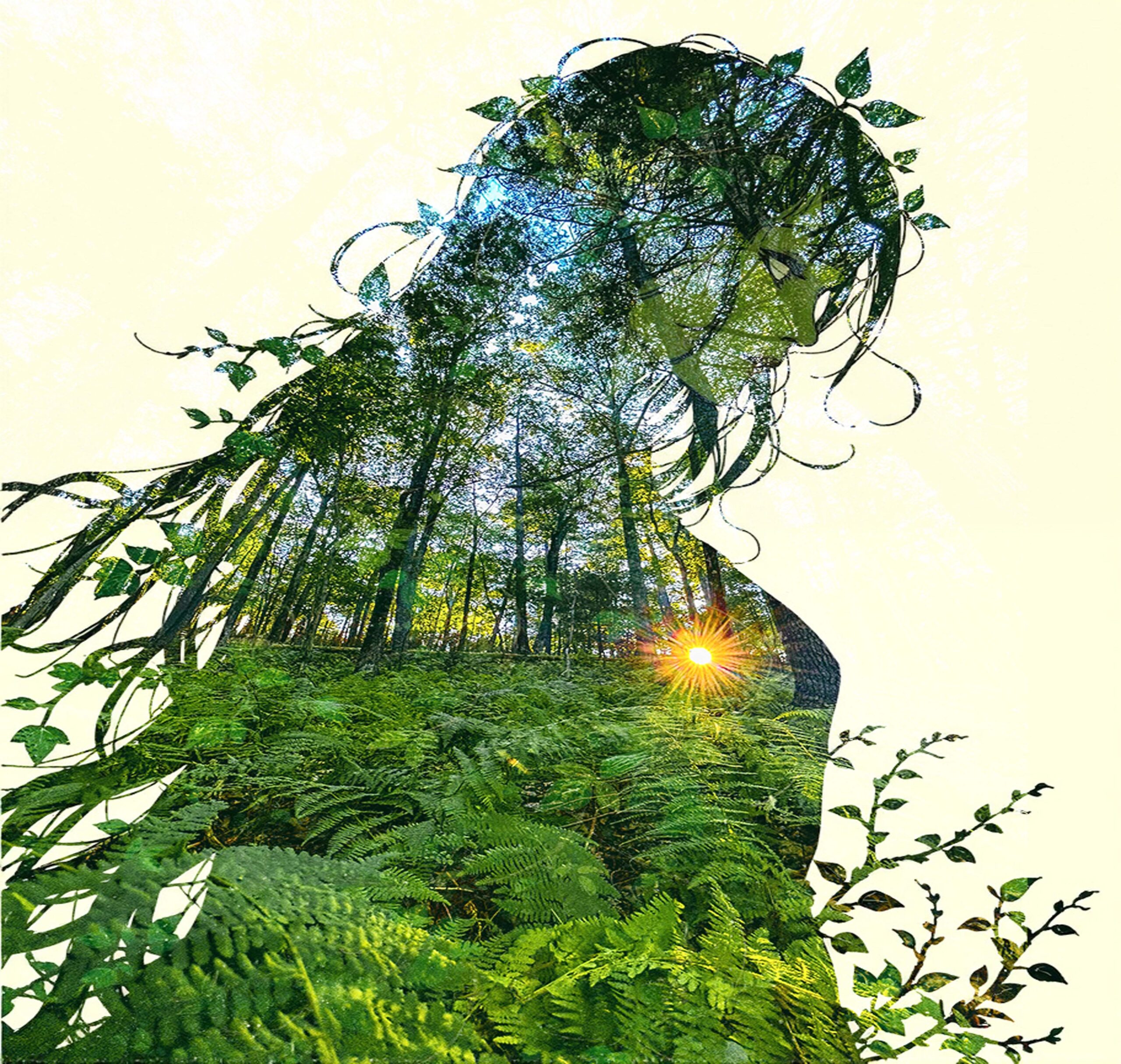 Into the Emerald Forest Kalib Bryan