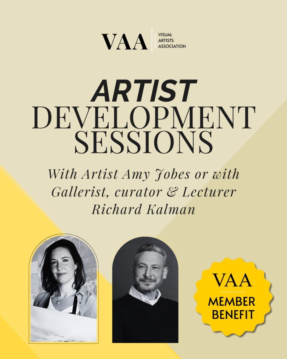 Artist Development Sessions - Visual Artists Association
